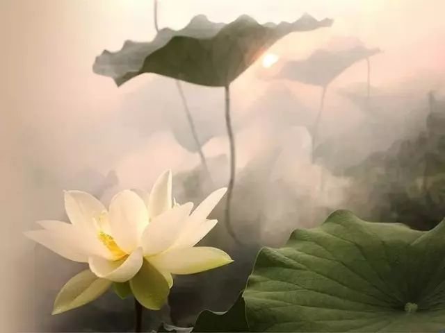 <b>去他的人言可畏</b>