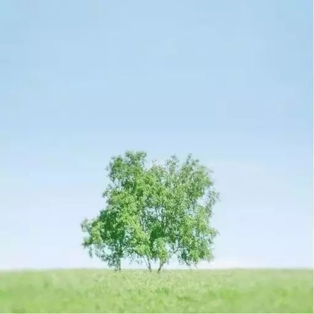 <b>听故事丨那青草覆地的墓园</b>