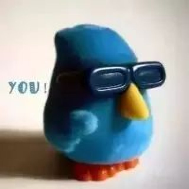 “青菜未来小编训练营”第七批名单公布啦!