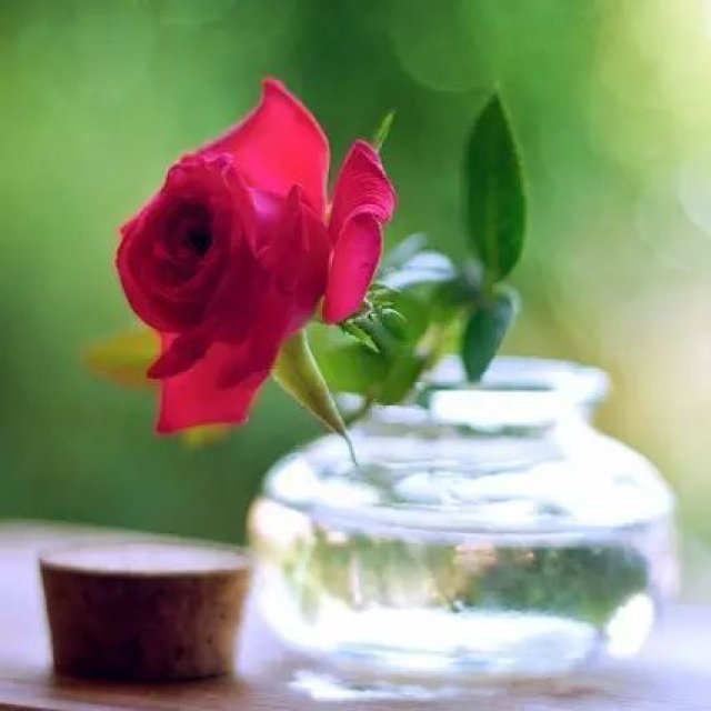 倾听|束手无策的爱情啊