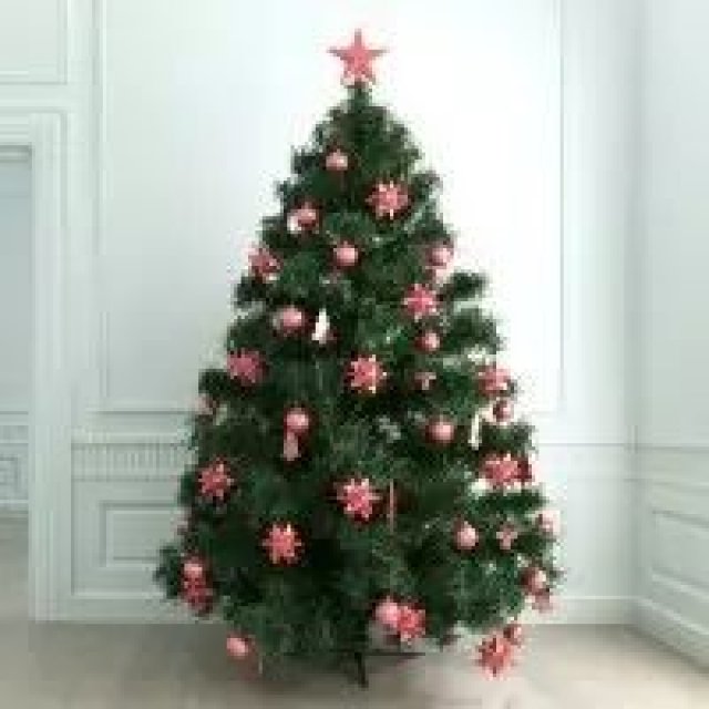 站在槲寄生下,不能拒绝别人的索吻哦~