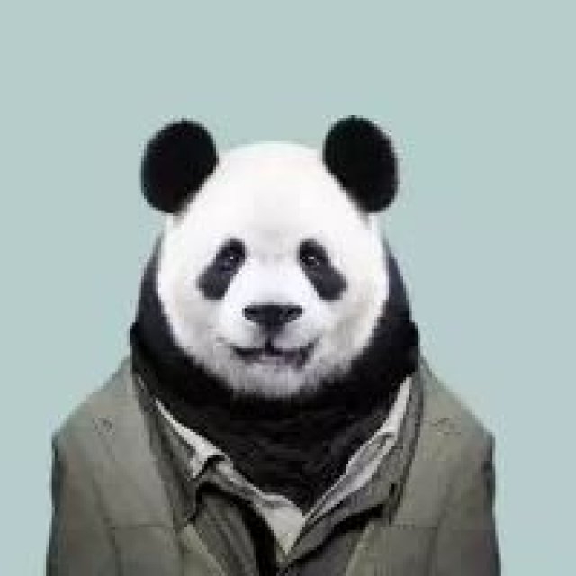 残酷现实:动物穿上衣服竟比我们还好看