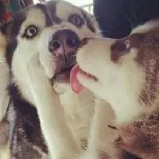 看你们被逼婚,我心里敞亮多了