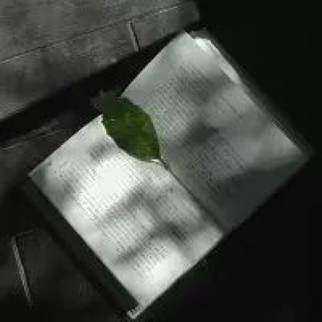 新年第一天,列一张年度读书计划表吧