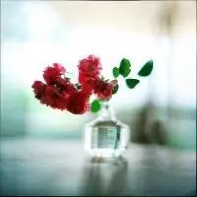 佳句|世上最变化多端也最循规蹈矩的存在是……