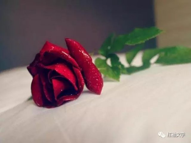 情人节攻略:不同的玫瑰花,不同的情人节