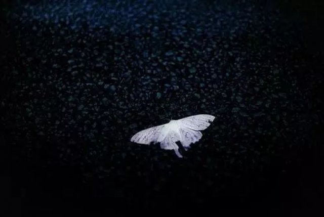 经典微小说:《暗恋》