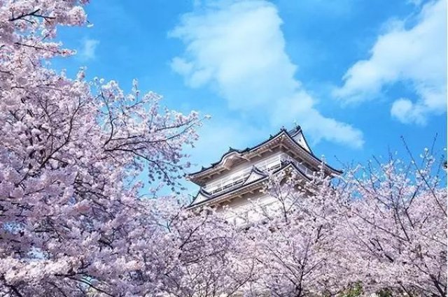 日本100处赏樱地,全网最全没有之一