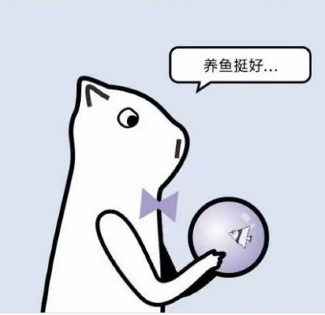 燥热的夏天和冷段子更配哦