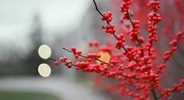 你若安好,我便不去打扰!