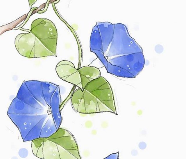 夜听|汪曾祺:夏天
