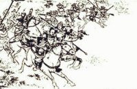 三国王匡简介