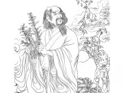 神农氏简介