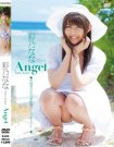 R-655 Angel ˤʤ(Ļ)Ʒ20170817