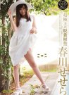 OPUD-232 春川せせら作品番号2016年09月23日
