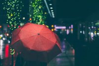名家 | 毕淑敏:人生这三件事,你决不能俭省
