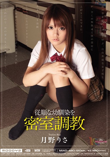 MIAD-480 2010-11-01 Ұꤵ -1