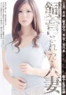 ׵ ϣ գ2019/02/06 (DVD ) 