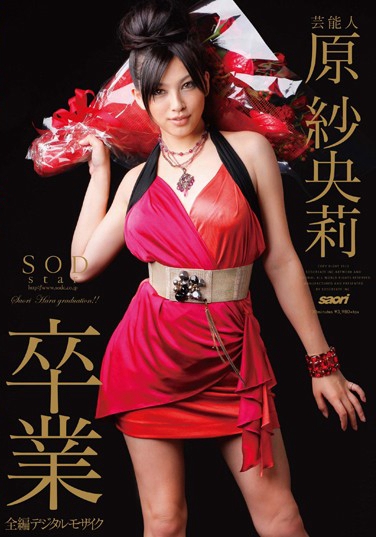 SDDS-020 2011-09-08 ԭ -1