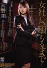 西野翔 发布日:2012/12/24 (DVD レンタル版) 番号