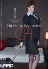 神波多一花 空姐 番号:WSS-247