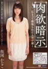 ɭg գ2013/11/13 (DVD ) ţM