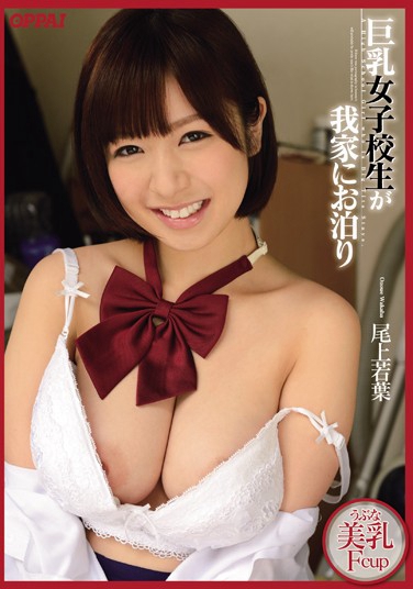 βҶ գ2013/06/19 (DVD ) ţPPPD-238 -1