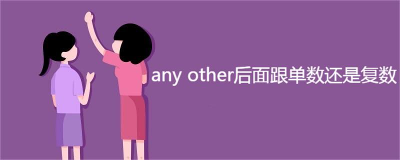 any otherǸ