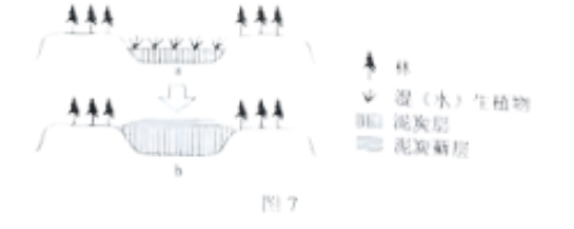 2024½߿⼰𰸽棩