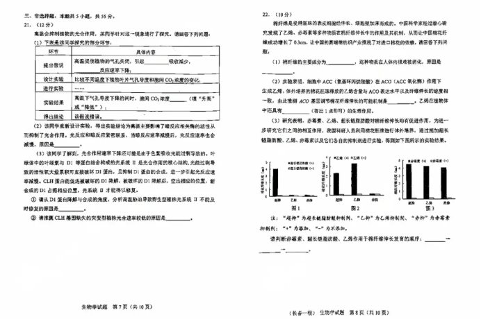 4.webp