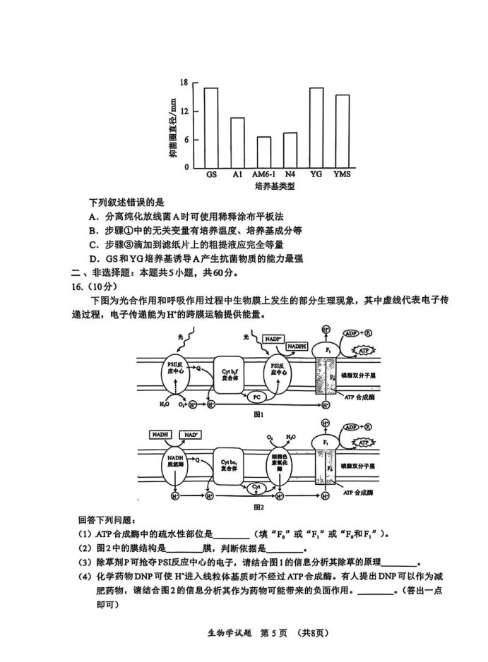 5.webp