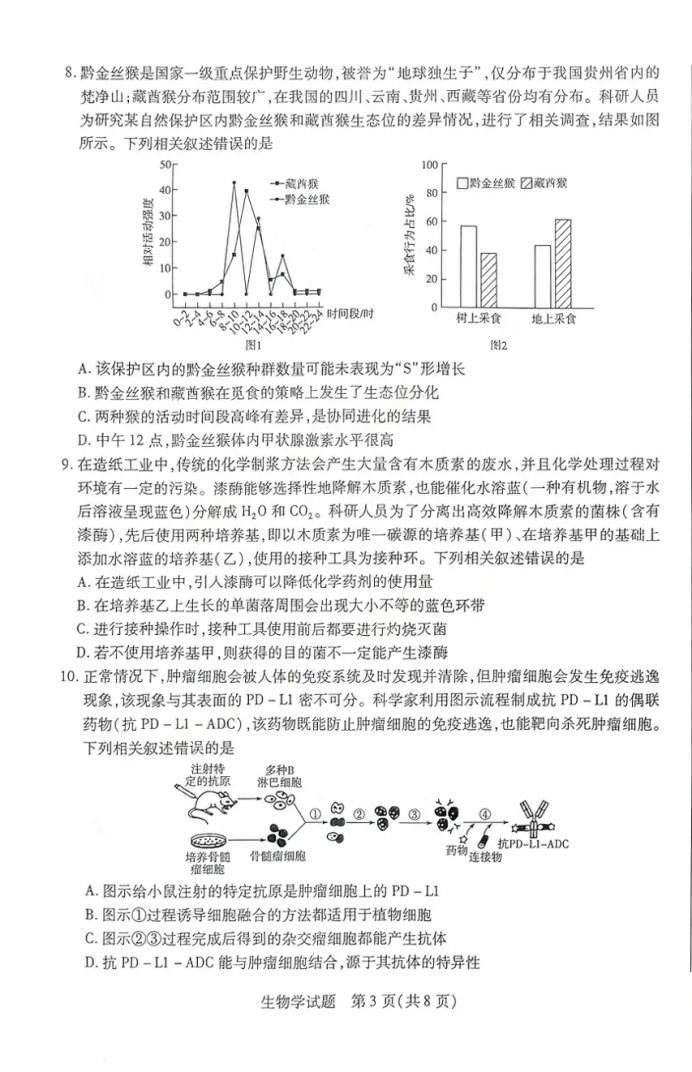 3.webp