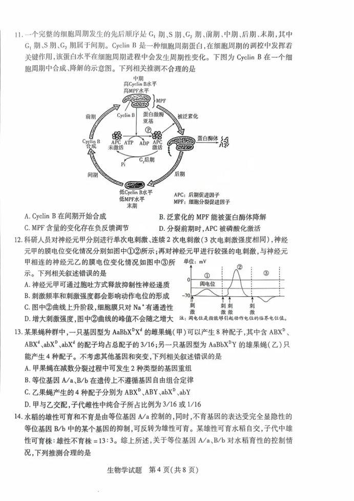 4.webp